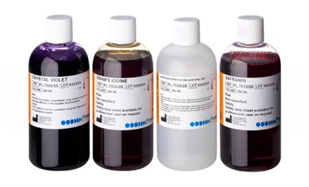 Pro-Stains™ Staining Kits