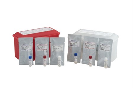 Gram-Positive Blood Culture Control Panel (Inactivated Pellet)