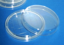 Nutrient agar contact plate 15 g, single wrapped (1 shrinking foil)